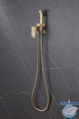 Встраиваемый смеситель с гигиеническим душем ABBER Wasserfall AF8625G (золото матовое)