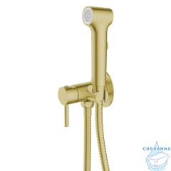 Смеситель с гигиеническим душем Azario Nyons AZ-KFX02MG (золото матовое)