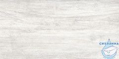 GT223VG Керамогранит Storm_GT светло-сер. 30x60  1\58,32