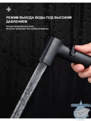 Гигиеническая лейка Frap 1 режим F022-6 (черный матовый)