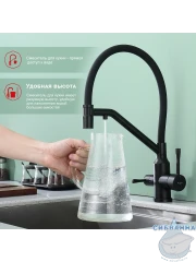 Смеситель для кухни Raglo R81.62.06 (черный)