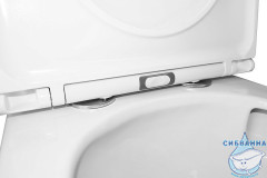 Унитаз напольный со смывом торнадо Azario Conto с бачком и сиденьем Soft Close (микролифт) AZ-T005BR