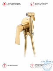 Встраиваемый смеситель с гигиеническим душем Raglo R07.52.03 (сатин золотой)