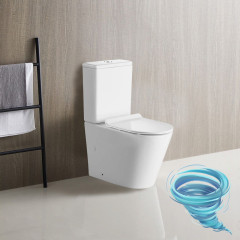 Унитаз напольный Calypso CS2149UQ-TK с бачком и сиденьем Soft Close (микролифт)