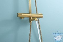 Душевая система Raglo 250 1 режим R20.26.03 (сатин золотой)