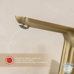 Смеситель для ванны на борт Raglo R03.31.03 с душевым гарнитуром (сатин золотой)