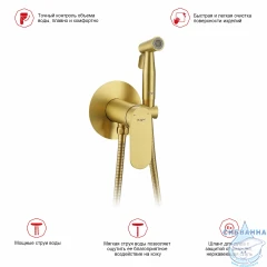 Встраиваемый смеситель с гигиеническим душем Raglo R10.52.03 (сатин золотой)