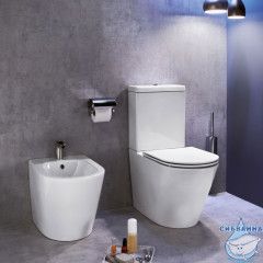 Унитаз напольный безободковый Jacob Delafon Rodin+ UJAB102-00 с бачком и сиденьем Soft Close (микролифт)