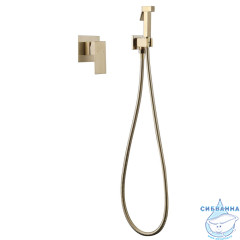 Встраиваемый смеситель с гигиеническим душем ABBER Daheim AF8225G (золото матовое)