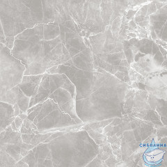 GT60601301MR-4 Керамогранит Solo_GT/MR Серый 60x60 _ 1\48,96