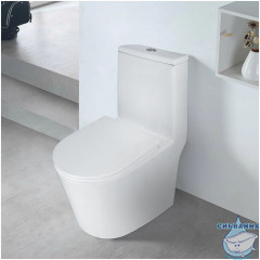 Унитаз напольный безободковый Azario Scala с бачком и сиденьем Soft Close (микролифт) AZ-8101