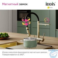 Смеситель для кухни с фильтром и гибким изливом, матовое золото, Ace, IDDIS, ACEMGFFi05