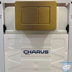 Кнопка смыва Charus Robusto FP.310.BG.05 брашированное золото