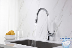 Смеситель для кухни Aquatek Европа AQ1384CR (хром)