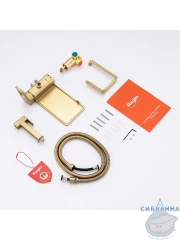 Встраиваемый смеситель с гигиеническим душем Raglo R51.55.03 (сатин золотой)