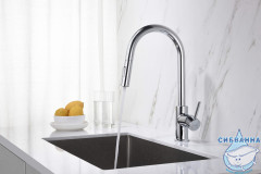 Смеситель для кухни Aquatek Европа AQ1384CR (хром)