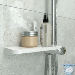 Душевой гарнитур с верхней лейкой, белый, Ray, IDDIS, RAYSW3Fi76