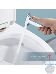 Встраиваемый смеситель с гигиеническим душем Raglo R51.55 (хром)