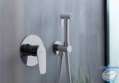Встраиваемый смеситель с гигиеническим душем Aquatek Бетта AQ1119CR (хром )