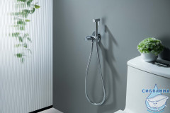 Смеситель с гигиеническим душем Aquatek Бетта AQ1023CR (хром)