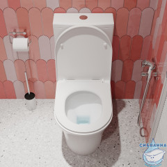 Унитаз напольныйIddis Iddis Stone STNRDSEi24 с бачком и сиденьем Soft Close (микролифт)