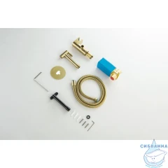 Смеситель с гигиеническим душем Aquatek Оберон AQ1024BG (золото шлифованное)