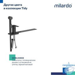 Встраиваемый смеситель с гигиеническим душем Milardo Tidy 001SB00M08 (хром)