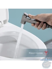 Встраиваемый смеситель с гигиеническим душем Raglo R51.55.09 (графит)