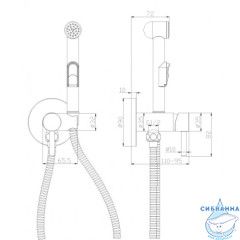 Встраиваемый смеситель с гигиеническим душем Rossinka X25-51 (хром)
