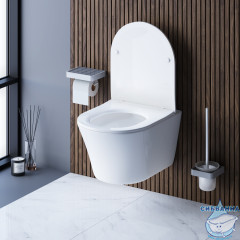 Унитаз подвесной безободковый Damixa Skyline с сиденьем Soft Close (микролифт) DX35C1700SC