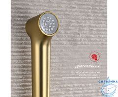 Встраиваемый смеситель Raglo R03.52.03 с гигиеническим душем (сатин золотой)
