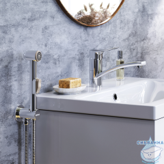 Смеситель с гигиеническим душем Damixa Jupiter 770230001 (хром)