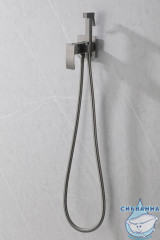 Встраиваемый смеситель с гигиеническим душем ABBER Wasserfall AF8625NG (никель )