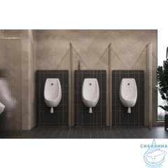 Писсуар Roca Access ZRU9310181