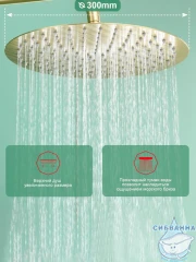 Душевая система Raglo 300 1 режим R10.24.03 (сатин золотой)