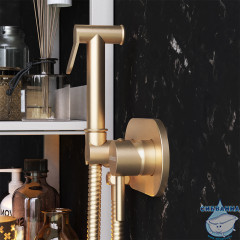 Встраиваемый смеситель с гигиеническим душем Damixa Option 214000000 (бронза)