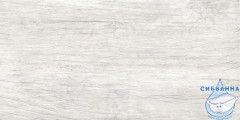 GT223VG Керамогранит Storm_GT светло-сер. 30x60  1\58,32