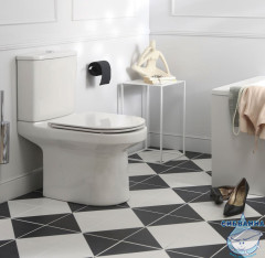 Унитаз напольный безободковый Jacob Delafon Elite E20997-00 с бачком и сиденьем ультратонким Soft Close (микролифт)