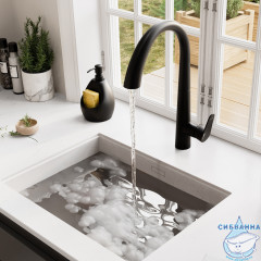 Смеситель для кухни Wasserkraft A8667 (черный матовый)