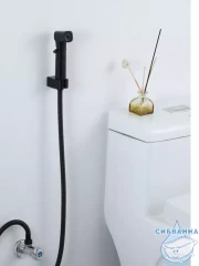 Гигиеническая лейка Frap 1 режим F022-6 (черный матовый)