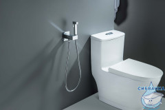 Смеситель с гигиеническим душем Aquatek Лира AQ1025CR (хром)