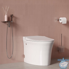 Встраиваемый смеситель с гигиеническим душем, полка, Axes, IDDIS, AXESBSHi08