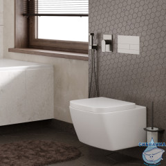 Встраиваемый смеситель с гигиеническим душем Wasserkraft A84095 (оружейная сталь)