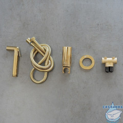 Встраиваемый смеситель с гигиеническим душем Lemark Solo LM7171G (золото)