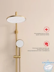 Душевая система Raglo 250 1 режим R20.24.03 (сатин золотой)