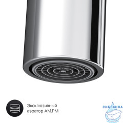 Смеситель для кухни AM.PM Like F8006000 (хром)