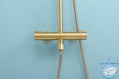 Душевая система Raglo 250 1 режим R20.26.03 (сатин золотой)