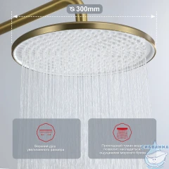 Душевая система Raglo 250 1 режим R20.27.03 (сатин золотой)