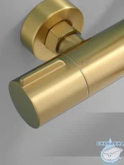 Душевая система Calypso CS2620-3 250 1 режим (золото матовое)