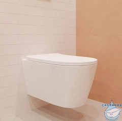 Унитаз подвесной безободковый TONI ARTI Forli  TA-1905 с сиденьем Soft Close (микролифт)